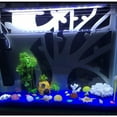 thumbnail image 5 of Spongebob Square Aquarium Decor - Set of 7 Aquarium Decorations, 5 of 5