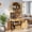 Oak, variant on 75" Farmhouse Tall Arched Pantry Cabinet with Charging Station, Storage Coffee Bar with Open Countertop and Adjustable Shelves for Kitchen Dining Room Living Room, Oak