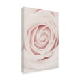 thumbnail image 4 of 1x Studio III 'Pink Rose No 02' Canvas Art, 4 of 4