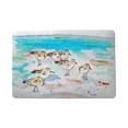 thumbnail image 1 of Betsy Drake DM1089 18 x 26 in. Seven Sanderlings Door Mat, 1 of 1