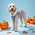 thumbnail image 2 of Vibrant Life Halloween Hoodie for Dogs, Lil' Boo, Gray, M, 2 of 8
