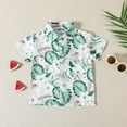 thumbnail image 3 of Fesfesfes Toddler Boys Hawaiian Outfit Kids Baby Boy Printed Tops and Shorts Casual Beach Wear Short-sleeved Dressy Tops and Shorts Clothes Set On Sale, 3 of 9