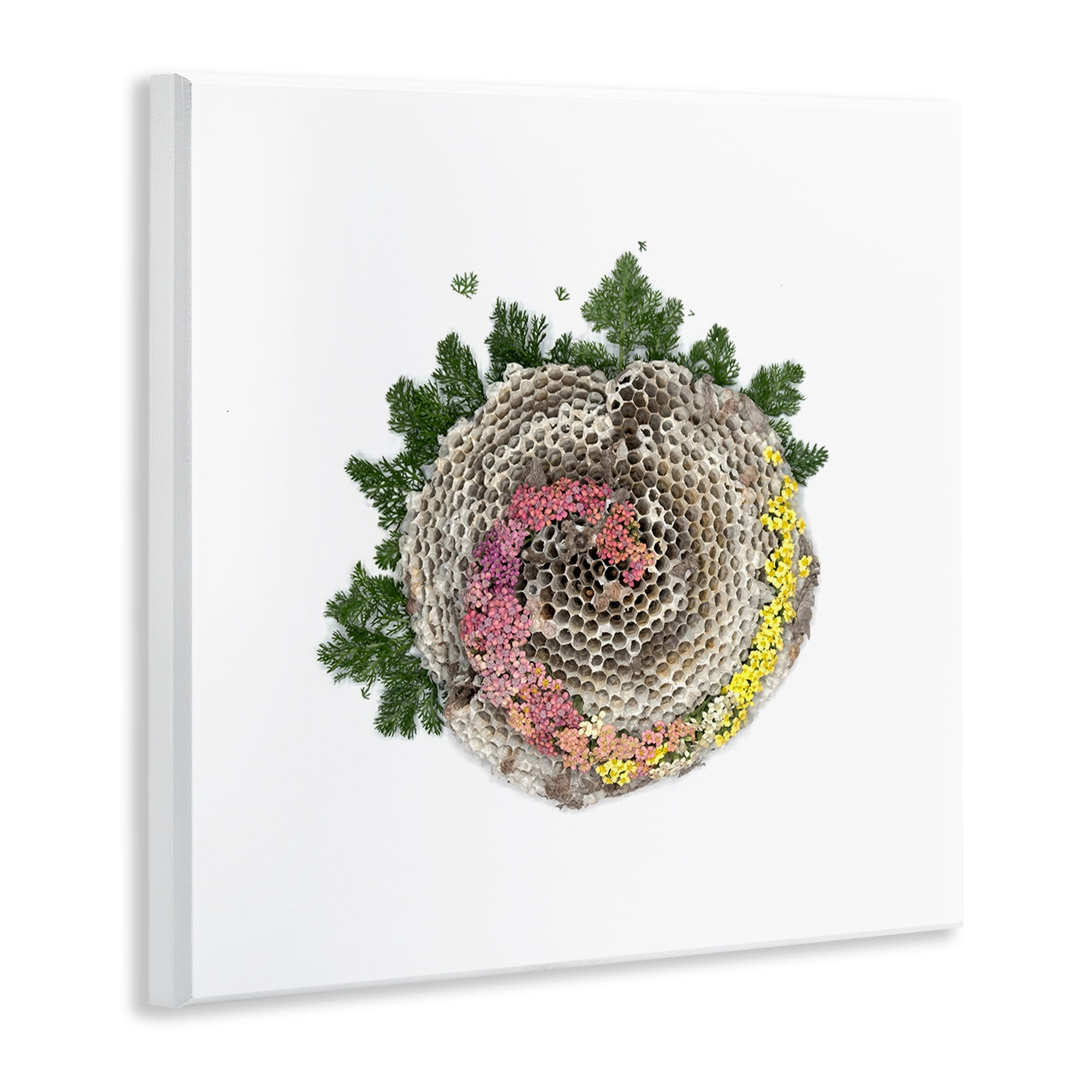 Stupell Industries Honeycomb with Botanicals Wall Plaque Art, design by Beth Adoette
