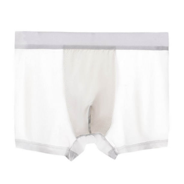 Ladies Teens Boxer Pants Seamless Ice Silk Boxer Shorts Briefs Underwears 2x