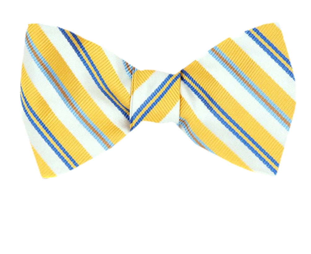 Men's Yellow and Gold Silk Self Tie Bowtie Tie Yourself Bow Ties