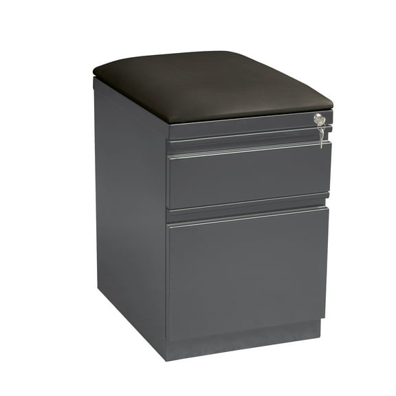 Hirsh 20 inch Deep Letter Width Mobile Pedestal File Cabinet 2 Drawer Box-File with Seat Cushion, for Home and Office, Charcoal/Black