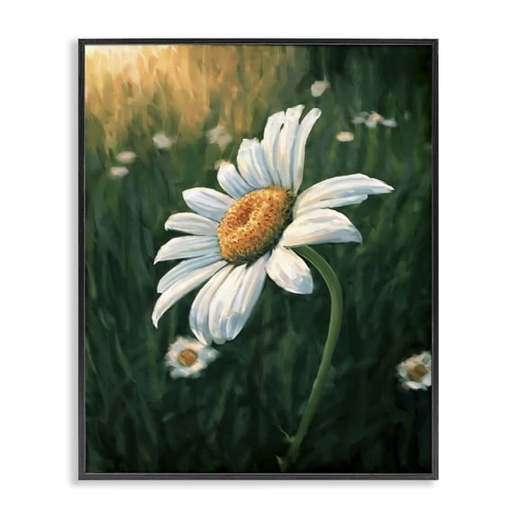 Stupell Industries Traditional Daisy in Green Field Black Framed Giclee Art, 11 x 14, by Ziwei Li
