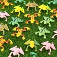 thumbnail image 4 of Plastic Frog Toy 13pcs Simulation Plastic Frog Figure Set Realistic Fun Toys Frog Animal Mould Party Favors for Kids (Random Style), 4 of 8