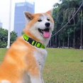 thumbnail image 4 of Collar de perro Led Collar de perro iluminado recargable por USB con collares intermitentes recargables e impermeables, 4 of 5