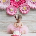 thumbnail image 5 of Baby Girl First Birthday Party Hat Flower Princess 1 M2J9, 5 of 9