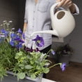 thumbnail image 3 of Bloem Canary Cream Watering Can, 1.5 Liter, Durable Plastic, Long Spout, Steady Flow, Indoor-Outdoor, 3 of 5
