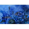 thumbnail image 2 of Haase, Andrea 18x13 White Modern Wood Framed Museum Art Print Titled - Magic Underwater World, 2 of 4