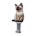 thumbnail image 2 of Cute Car Decor - Charming Cats Car Ornaments, Dashboard Bobblehead Cat Decorations, Spring-Mounted Acrylic Kitty Figurines for Car Interior, Car Decorations Interior(1PCS), 2 of 6