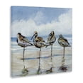 thumbnail image 2 of Stupell Industries Coastal Sandpipers Balancing On Beach Canvas Art, 36 x 36, by Susan Winget, 2 of 8