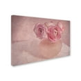 thumbnail image 3 of Trademark Fine Art Cora Niele Pink Ranunculus Bouquet Canvas Wall Art - 30x47, 3 of 4