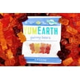 Organic Gummy Bears Fruity Gummy Candy Snack Packs, Gluten Free