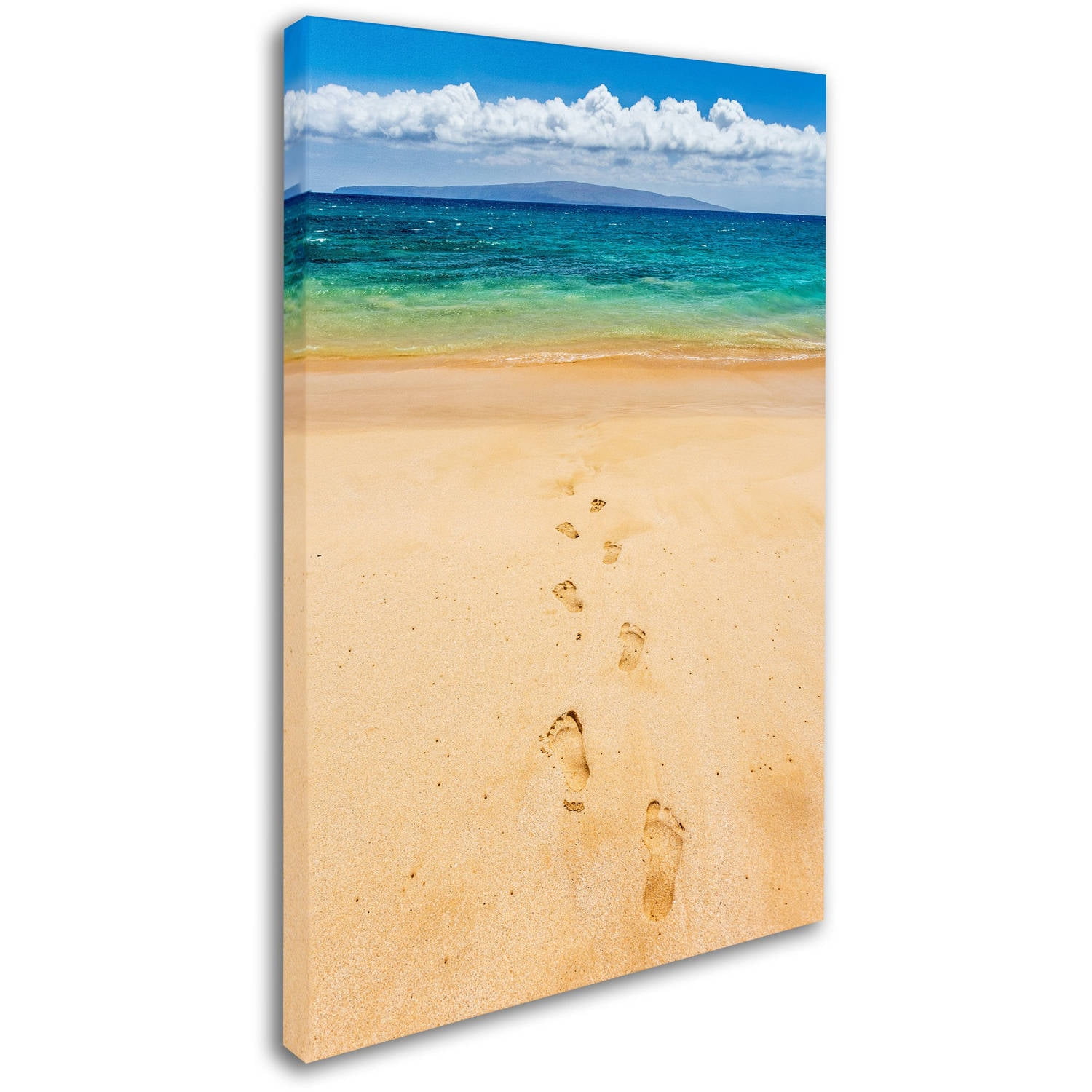 Trademark Fine Art 'Footprints in the Sand' Canvas Art by Pierre Leclerc
