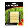 MaxPower 334370 Air Filter for Tecumseh Replaces 36905 and 740083A