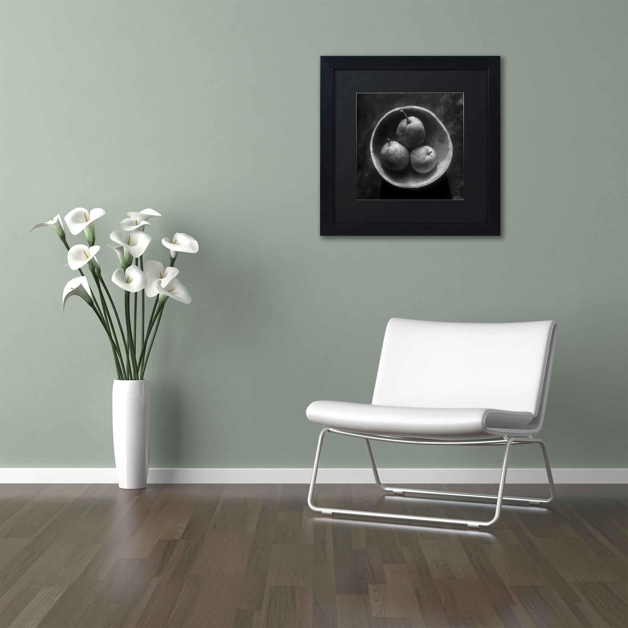 Trademark Fine Art "Circulo de Peras" Canvas Art by Moises Levy Black Matte, Black Frame