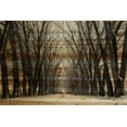 thumbnail image 2 of Parvez Taj "Tree Path II" Painting Print on Natural Pine Wood, 2 of 7