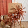 thumbnail image 4 of Pampas Grass Decor Serwalin, 60 unidades, 45 cm, naranja, decoración del hogar, 4 of 8