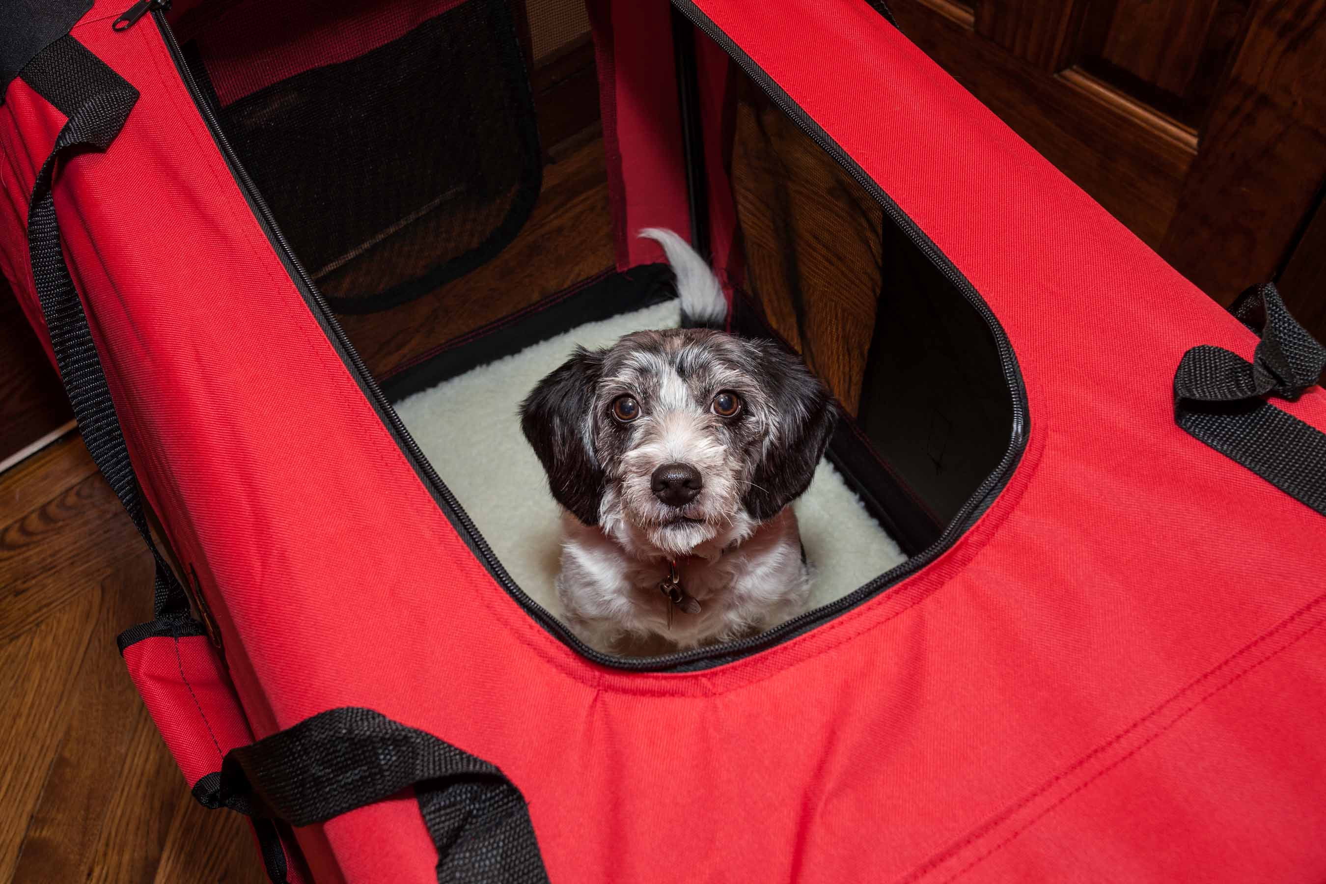 Folding Deluxe 360Â° Vista View House Pet Crate