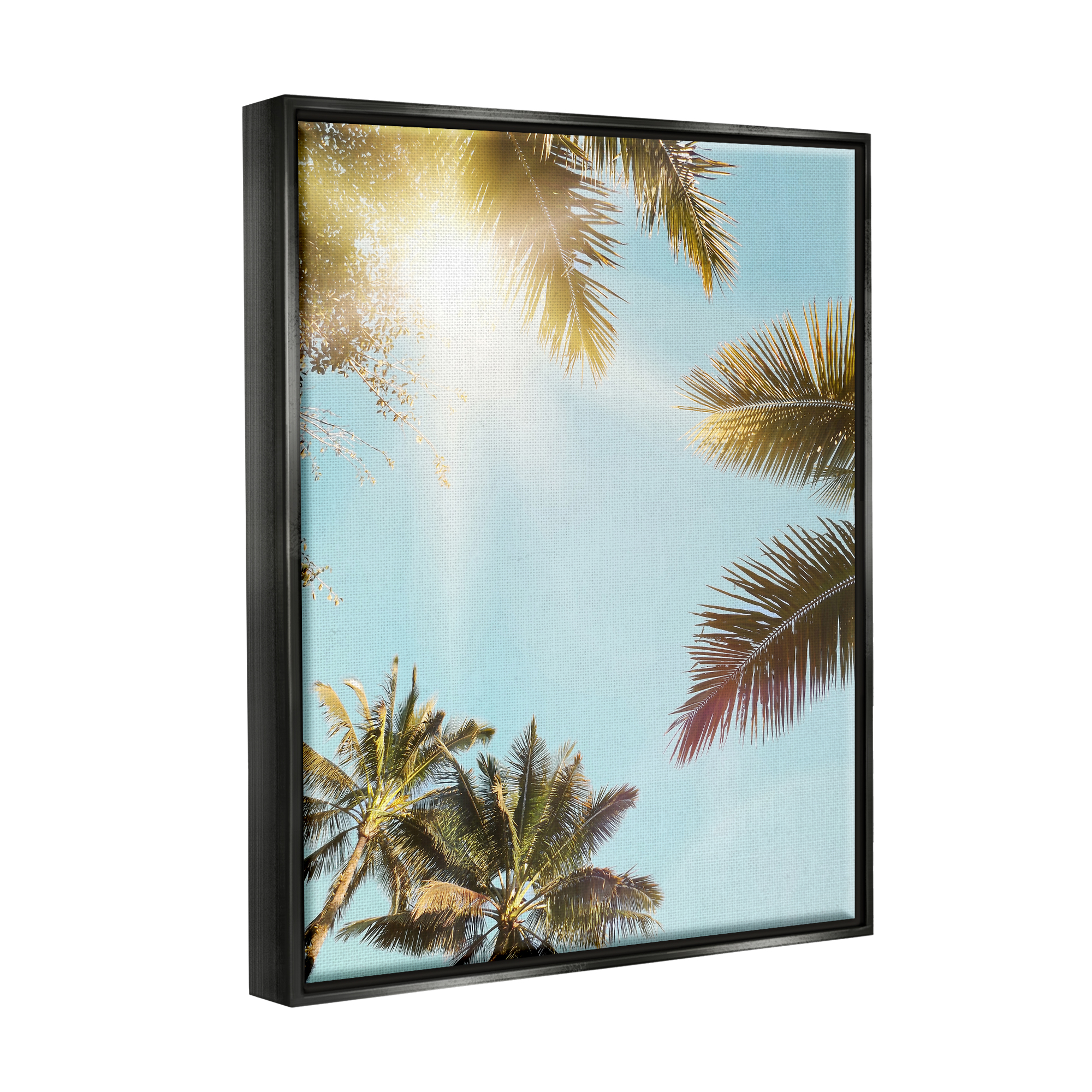 Stupell Industries Sunny Palm Leaves Photography Nature Photography Black Floater Framed Art Print Wall Art, 17 x 21