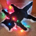 thumbnail image 1 of Alfombra navideña con diseño de gato frito, con luces, divertida alfombra navideña con luces de cadena, Hugfreedom (negra), 1 of 7