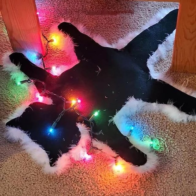 Alfombra navideña con diseño de gato frito, con luces, divertida alfombra navideña con luces de cadena, Hugfreedom (negra)