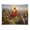 Sermon on the Mount Landscape, variant on Vintage Chair Violin Roses Vase Wall Tapestry Decorative, Aesthetic Fabric Wall Hanging Art for Bedroom Living Room Dorm, Durable & Lightweight Wall Decor with Hanging Kit 30"×40"
