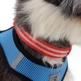 thumbnail image 6 of SPRING PARK Dual Fiber Shiny LED Dog Collar, USB Rechargeable Polyester Webbing Adjustable Glowing Pet Safety Collar, Reflective Light Up Collars, 6 of 7