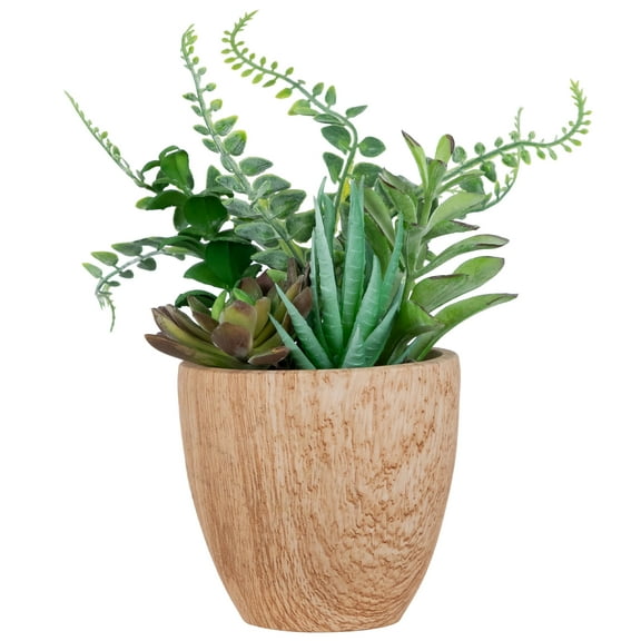 Northlight 12" Mixed Succulents and Fern Artificial Potted Arrangement - Green/Brown