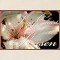 thumbnail image 2 of CafePress - Christ Is Risen Tote Bag - Unisex Canvas Tote Bag, Beige, 1-Piece, 2 of 6