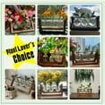 thumbnail image 5 of XXXFLOWER XXXFLOWER Plant Terrarium with Wooden Stand, Air Planter Bulb Glass Vase Metal Swivel Holder Retro Tabletop for Hydroponics Home Garden Office Decoration - 3 Bulb Vase, 5 of 6