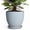 Light Blue, variant on Ordivic 6 inch Mint Green Ceramic Planter with Drainage & Saucer, Round Pot for Baby Tears & Ferns, Kitchen Windowsill Herb Garden Decor, Gift