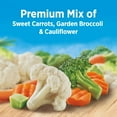 thumbnail image 3 of Birds Eye California Blend with Carrots, Broccoli, Cauliflower, Frozen Vegetables, 60 oz. Bag, 3 of 9
