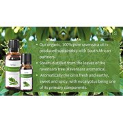 ArOmis Organic Ravensara Essential Oil - USDA Certified - 100% Pure Therapeutic Grade - 30ml (1 fl oz), Undiluted, Premium, Oils Perfect for Aromatherapy Diffuser