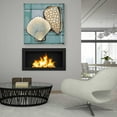 thumbnail image 6 of Epic Art 'Seashell Sketch I' by Tim O'Toole, Acrylic Glass Wall Art, 36"x36", 6 of 6
