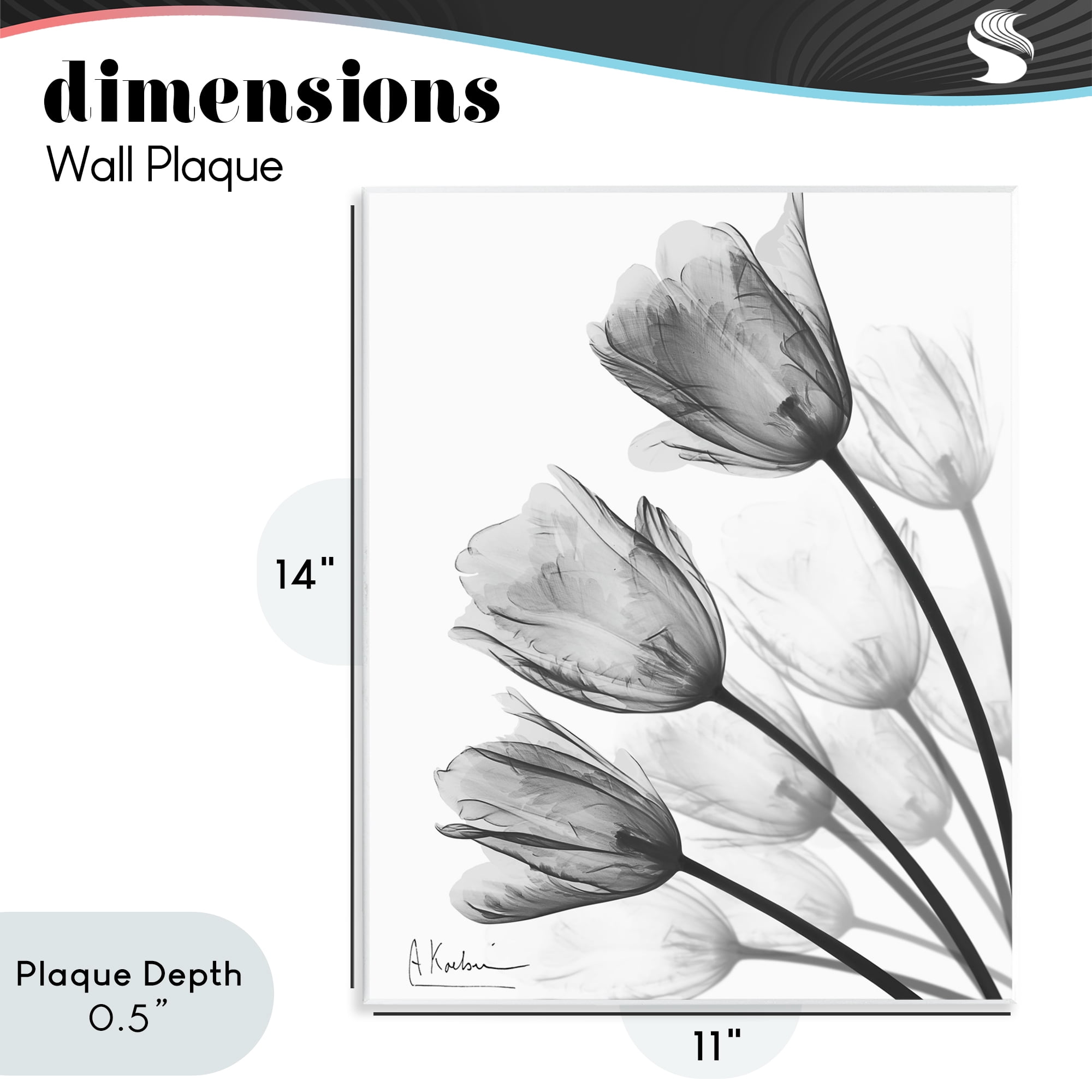 Stupell Industries Minimalist Tulip Fan Wall Plaque Art, design by Albert Koetsier