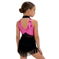 thumbnail image 2 of Doomiva Girls Sparkly Latin Dance Dress Sequin Sleeveless Fringe Tassel Color Block Cha Cha Jazz Dance Dress for Performance Hot Pink 14, 2 of 6