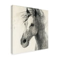 thumbnail image 2 of Trademark Fine Art 'In the Wind II Ink' Canvas Art by Albena Hristova, 2 of 3