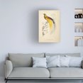 thumbnail image 3 of Wild Apple Portfolio 'Oiseaux de Paradis' Canvas Art, 3 of 3
