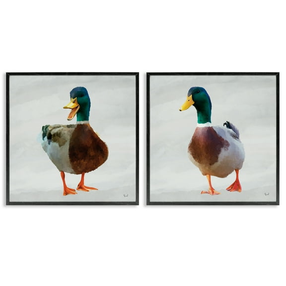 Stupell Industries Pair of Squawking Ducks 2 Piece Black Framed Giclee Art Set design by Renel Peters, 12 x 12