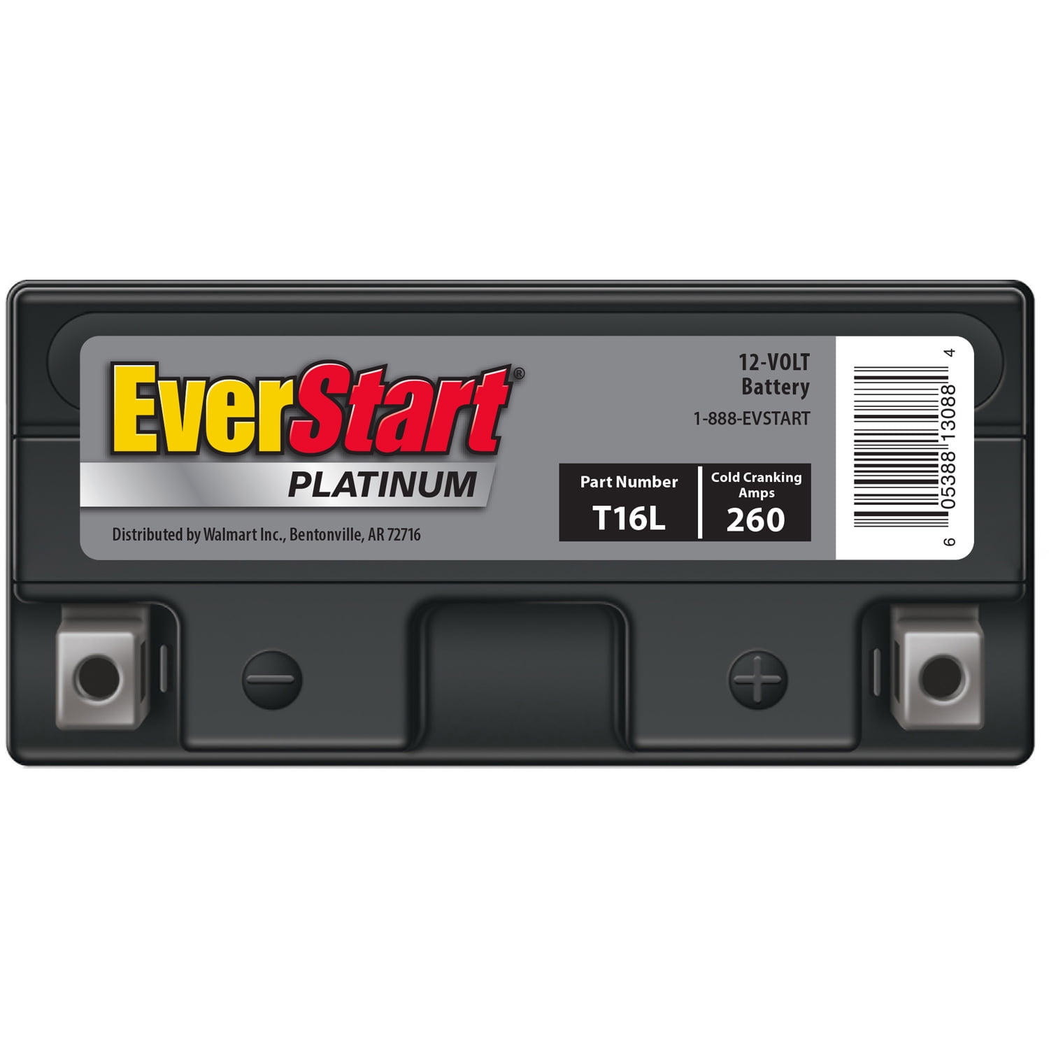 EverStart Premium AGM Power Sport Battery, Group Size T16L 12 Volt, 260 CCA