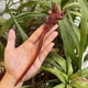 thumbnail image 1 of Horquilla antigua tallada en madera de sándalo rojo lobular, placa para el cabello, artesanías de madera pulida a mano, regalos antiguos de caoba, 1 of 6