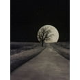 thumbnail image 2 of Deiter, Lori 12x14 Gold Ornate Wood Framed with Double Matting Museum Art Print Titled - Moonlit Country Road, 2 of 4