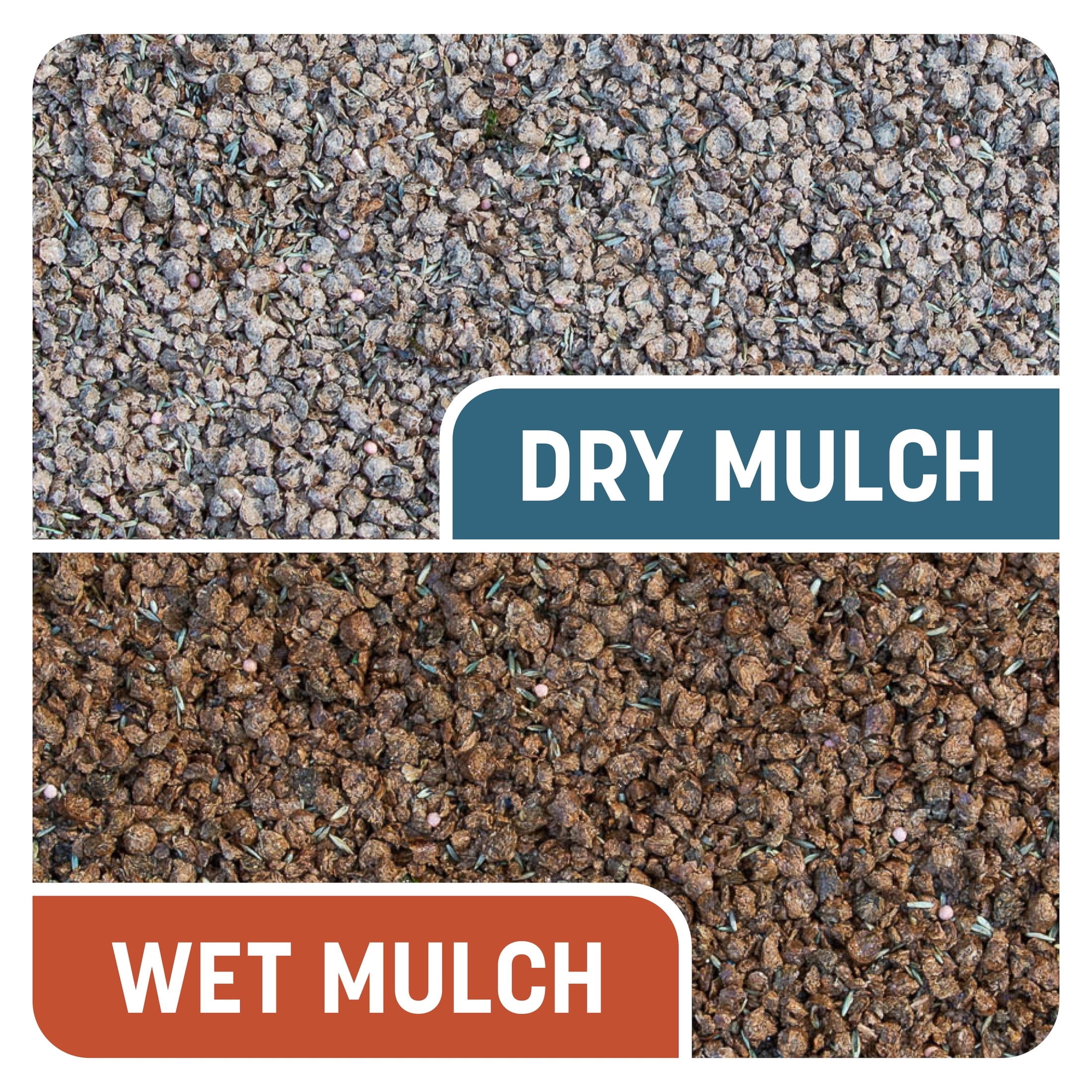 Pennington Smart Patch Bermuda Grass Seed Mix, Bermuda Grass Seeds for Lawn, for Full Sun Grasses, 5.5 lb.