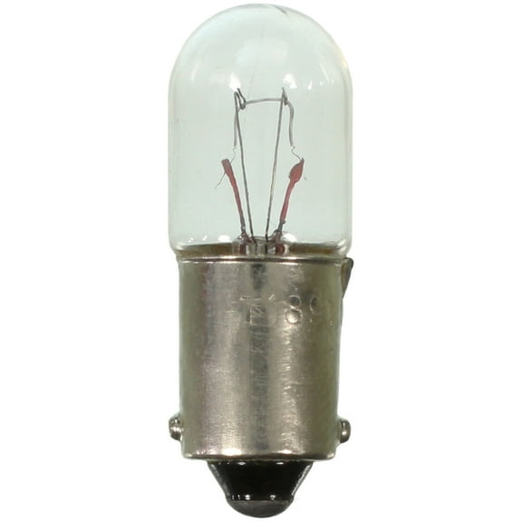 Wagner 1891 Multi Purpose Light Bulb for Electrical Lighting Body Exterior