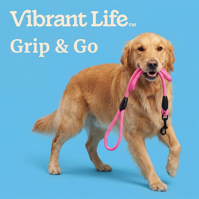 Padded Handle Rope Leash, 6 ft, Pink, Medium/Large photo 4
