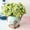 Green, variant on Artificial Flowers 5 Forks 15 Mini Roses - Plastic Faux Rose Bouquet for Home Decor, Wedding Centerpiece, Table Arrangement, Indoor or Outdoor Decoration, 11.8 Inch Tall, Single Stems